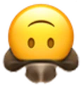 UpsideDownCowboy emoji