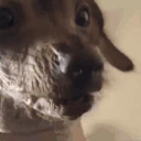 creatureRage emote