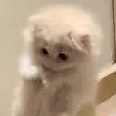 kitik emote