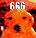 perrolol666 emote