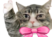 hesRight emote