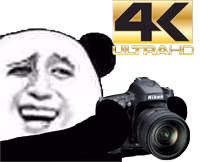 panda_caught4k emote