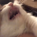 CE_inPain3 emote