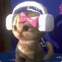 kittyBop emote