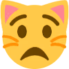 cat_supershocked emote