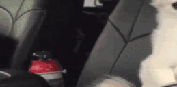 unLurk emote