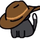 cat_cowboy emote