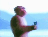 ZEN animated emote