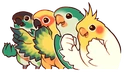 birbshappy emote