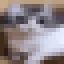 mini emote