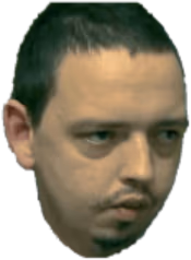 HaltStop emote