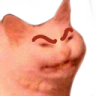 Catangry emote