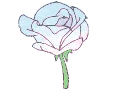 FlowerWhitePink emote