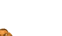 BrugChef emote