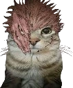 sukunaEHH emote