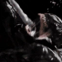 VENOM emote