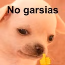 nogarsias emote