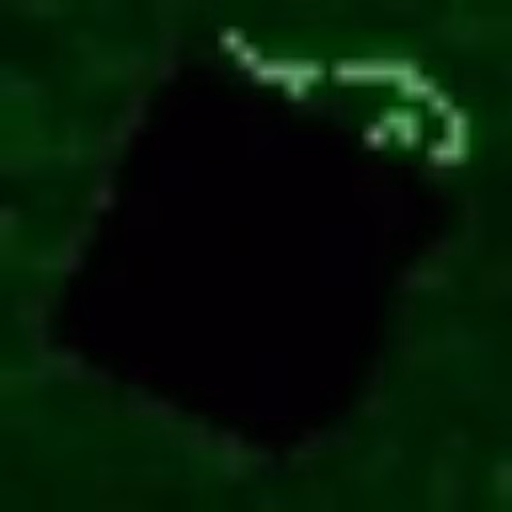 Shadowfruitcatpiece emote