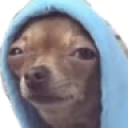 susdog emote