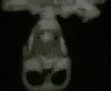 AINTNAURWAY emote