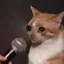 CE_SadCatMic emote