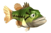 Jacob emote