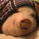 VeryPig emote