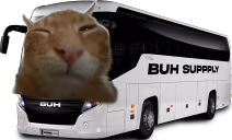 buhs emote
