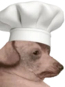creatureCook emote