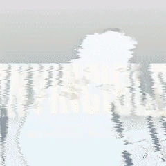 invincible emote