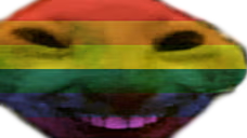 xddPride emote
