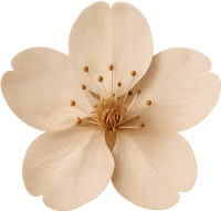 Beigesakuraflower emote