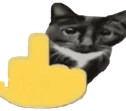 catcuss emote