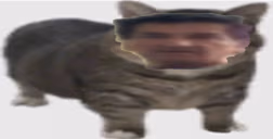 ryszartik emote