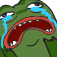 Pepe_Meltdown emote
