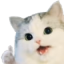 catokaythumbsup emote