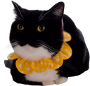 maxwellloaf emote