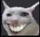 catheh emote