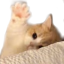 yo emote