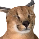 Sleepy_Floppa emoji