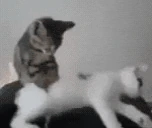 Massage emote