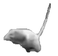 RatRun emoji