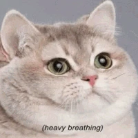 heavybreathing emote