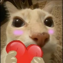 doselove emote