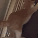 catTwerk emote