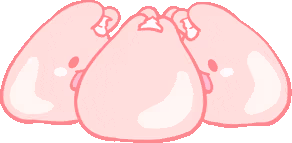 rabbit_chatting emote