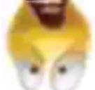 WHATTHEFLIP emote