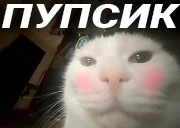 PUPSIK emote