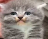 notMad emoji