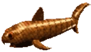 Max emote